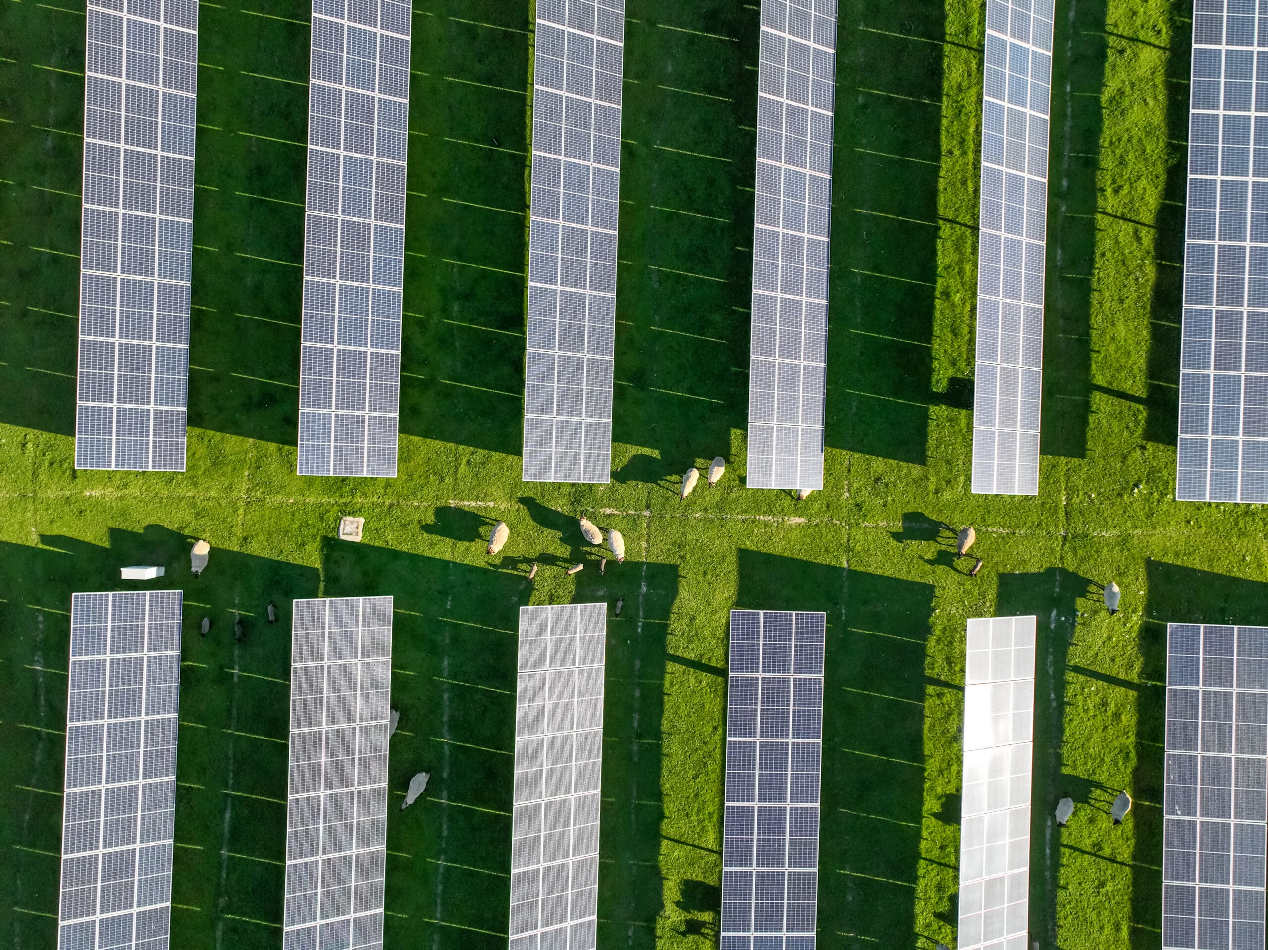 solar-panels-on-field-in-summer-aerial-drone-view-2024-04-15-18-28-32-utc-scaled.jpg