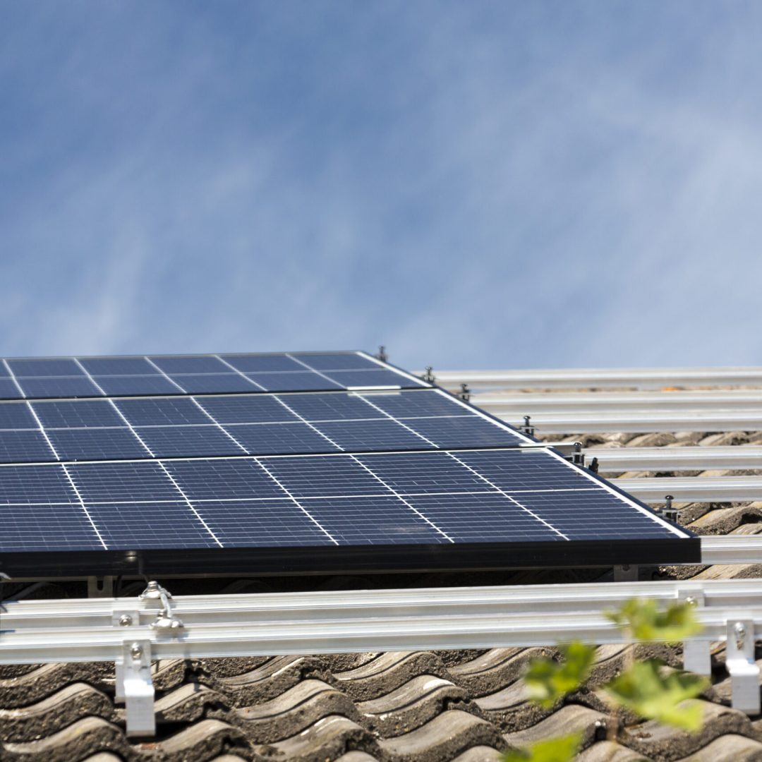 low-angle-view-plants-roof-against-sky-scaled.jpg